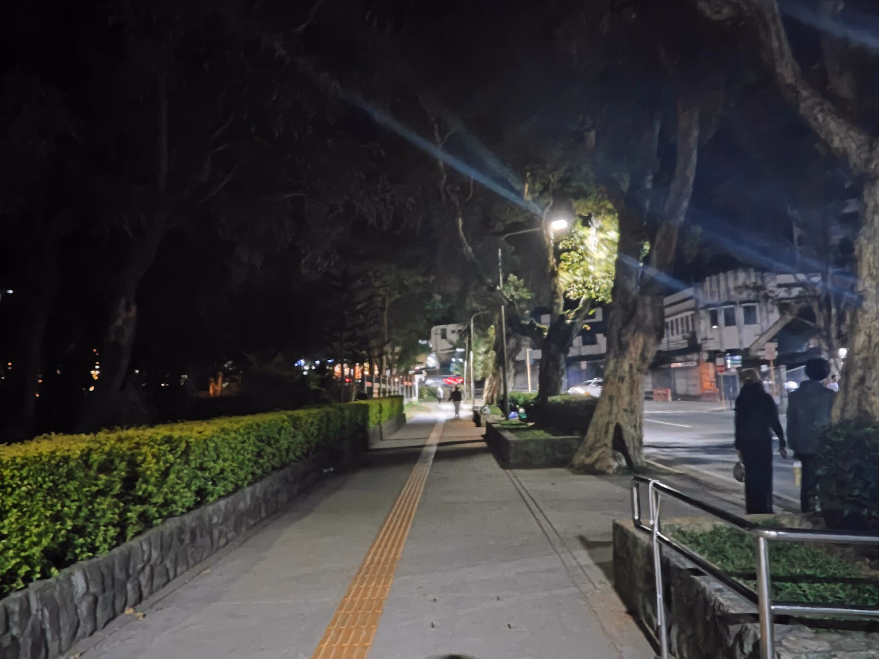 Lit pedestrian path beside Burnham Park at night